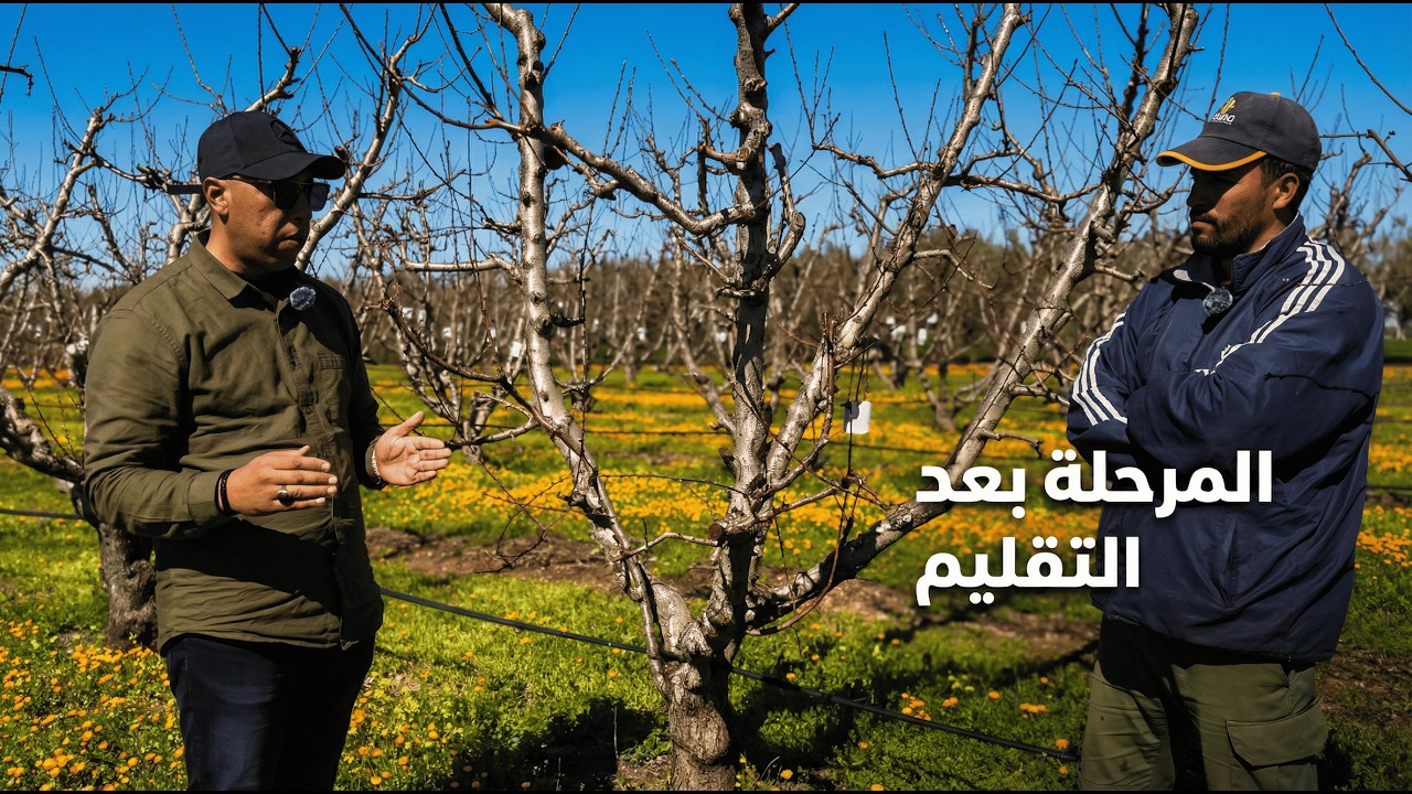 سلسلة التتبع التقني للورديات ذات النواة : شنو نديرو من بعد التقليم - النحاس و أنواعه