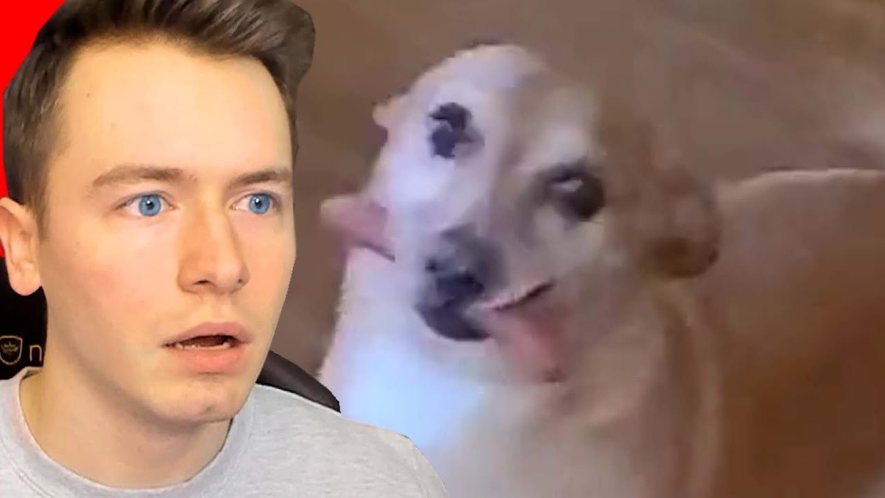 IDzock TRY NOT TO LAUGH CHALLENGE V10😂