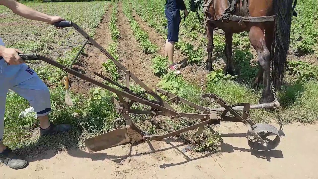 Prasitoare manuala , trasa de cal