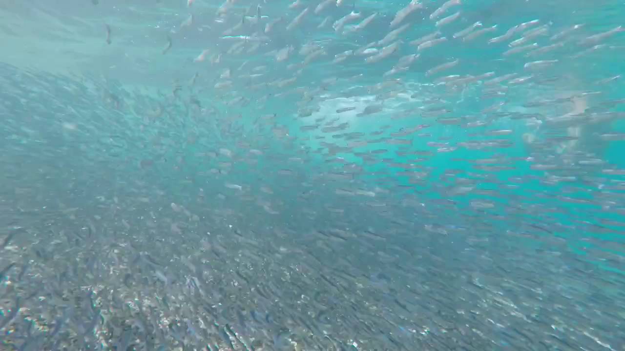 Cirò Marina, Punta Alice