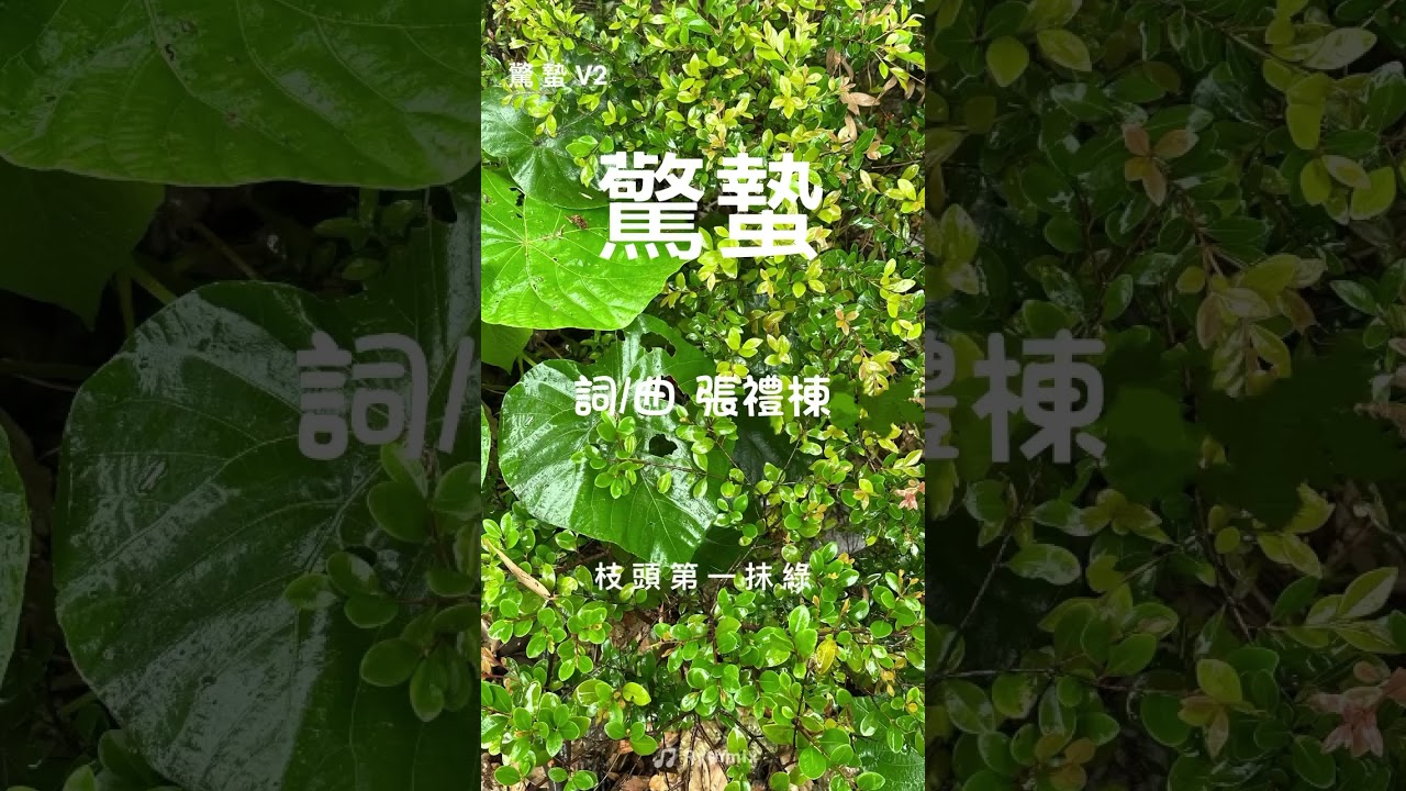 No.85《驚蟄》｜一聲春雷萬物醒｜詞/曲：張禮櫟