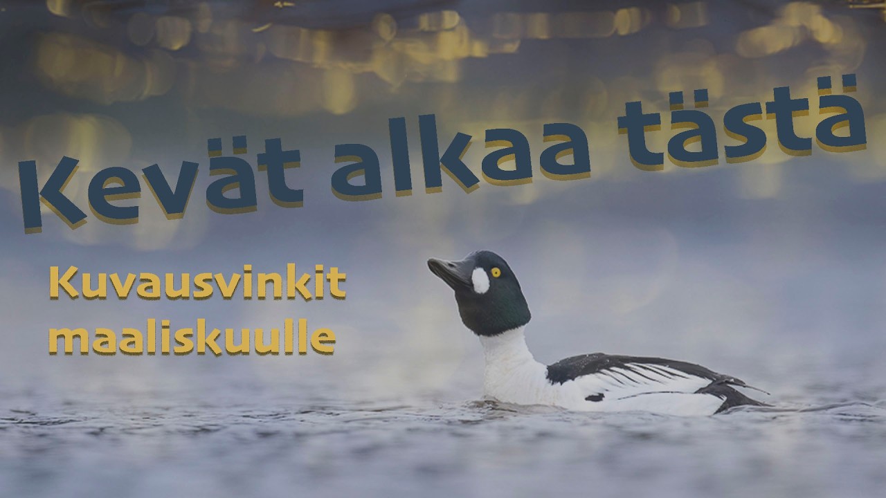Kevät alkaa tästä. Kuvausvinkit maaliskuulle