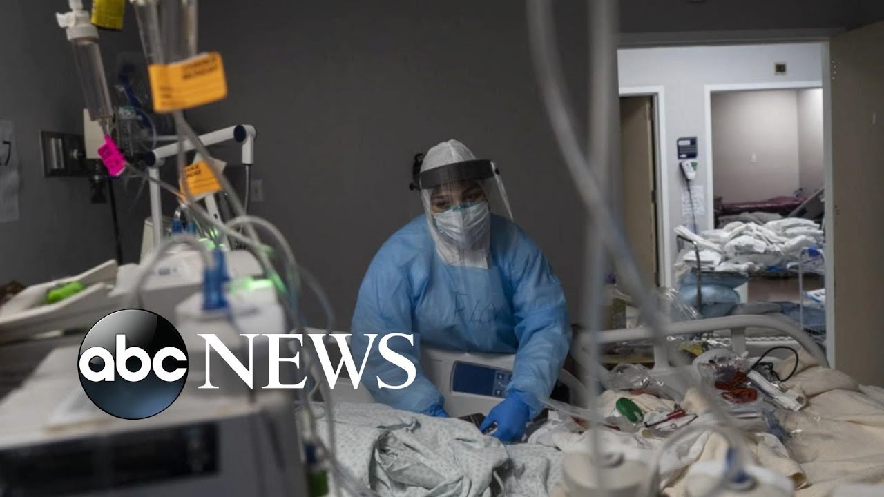 COVID-19 cases rise in 47 states, virus deaths rise in 26 | WNT