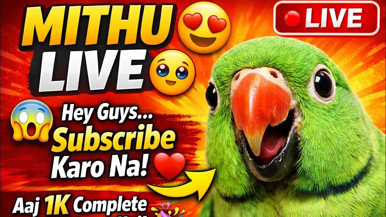 Harleen Vlogs is live