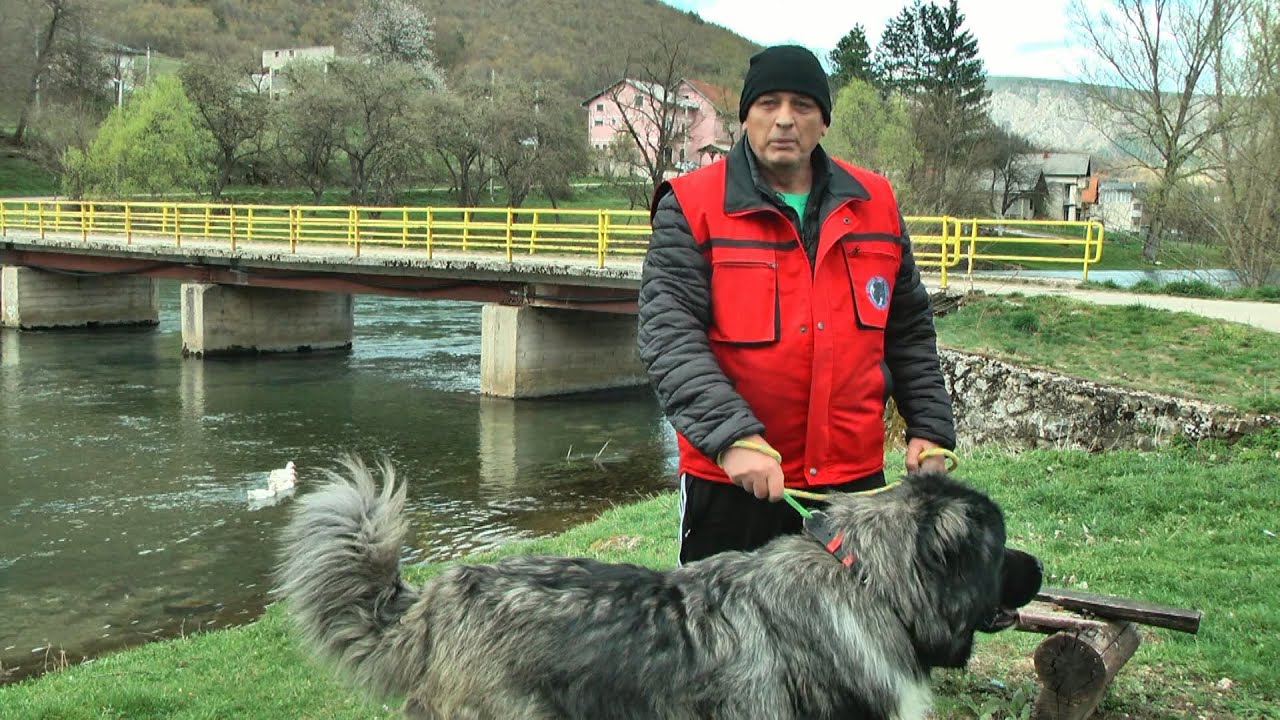 - DRUŽENJE UZGAJIVAČA RASNIH PASA PLJEVA ŠIPOVO 2022 ČETVRTO PO REDU