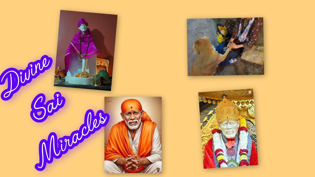 EPISODE 3 || MIRACLES OF SAIBABA || The mango tree fell !