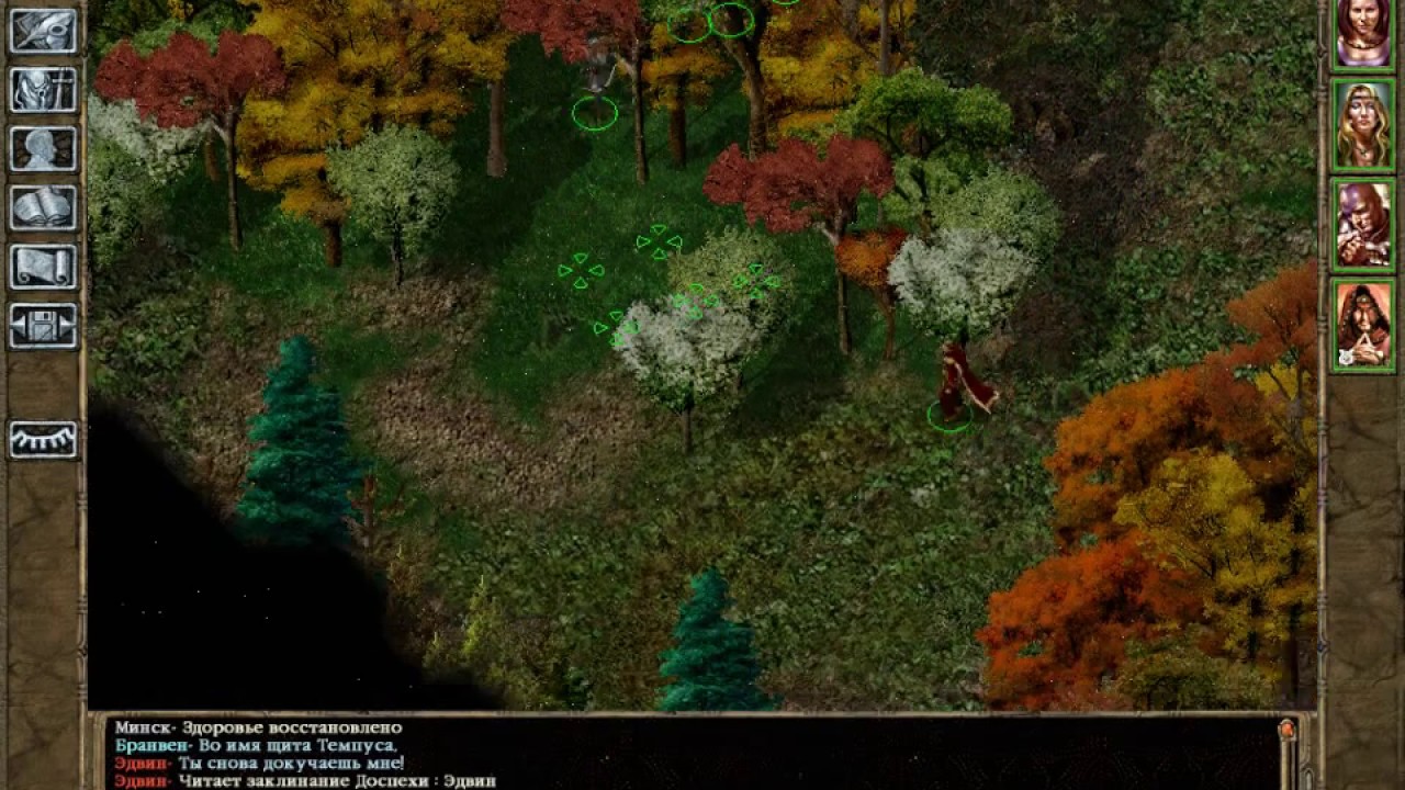 Baldur's Gate (26) Мальчик и его песик