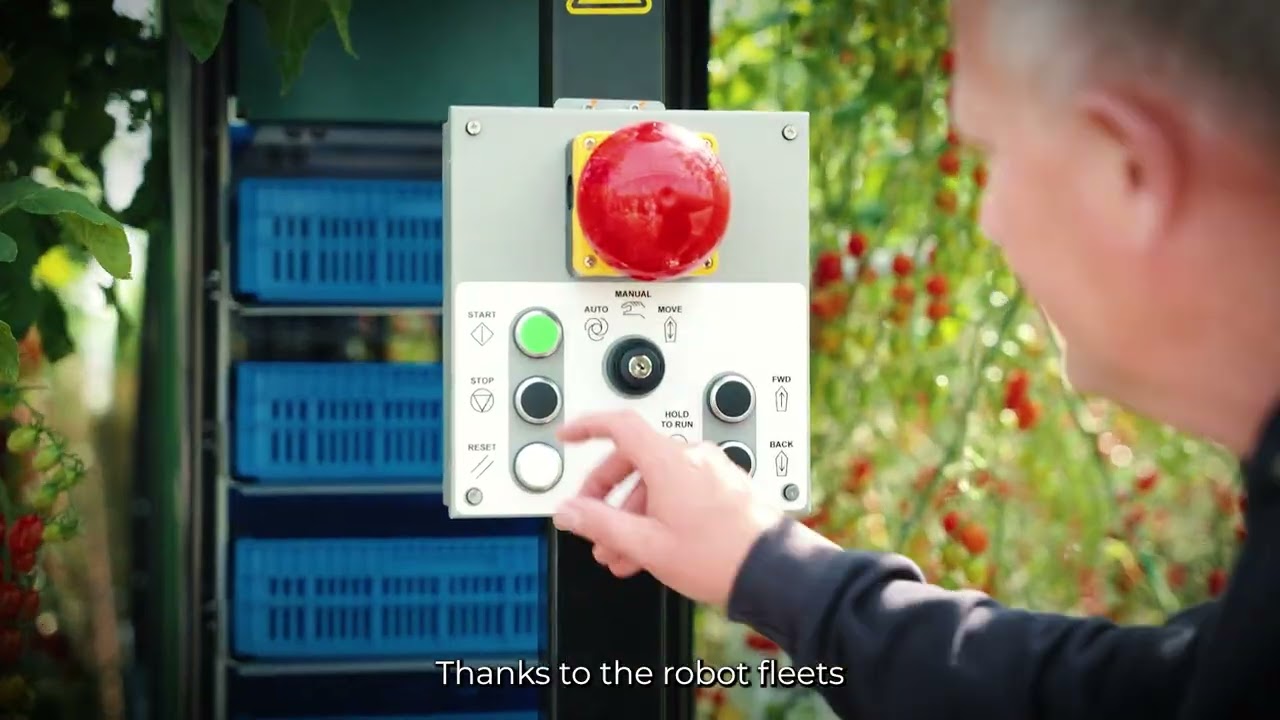 Autonomous Tomato Harvesting and What’s Next at Four Growers