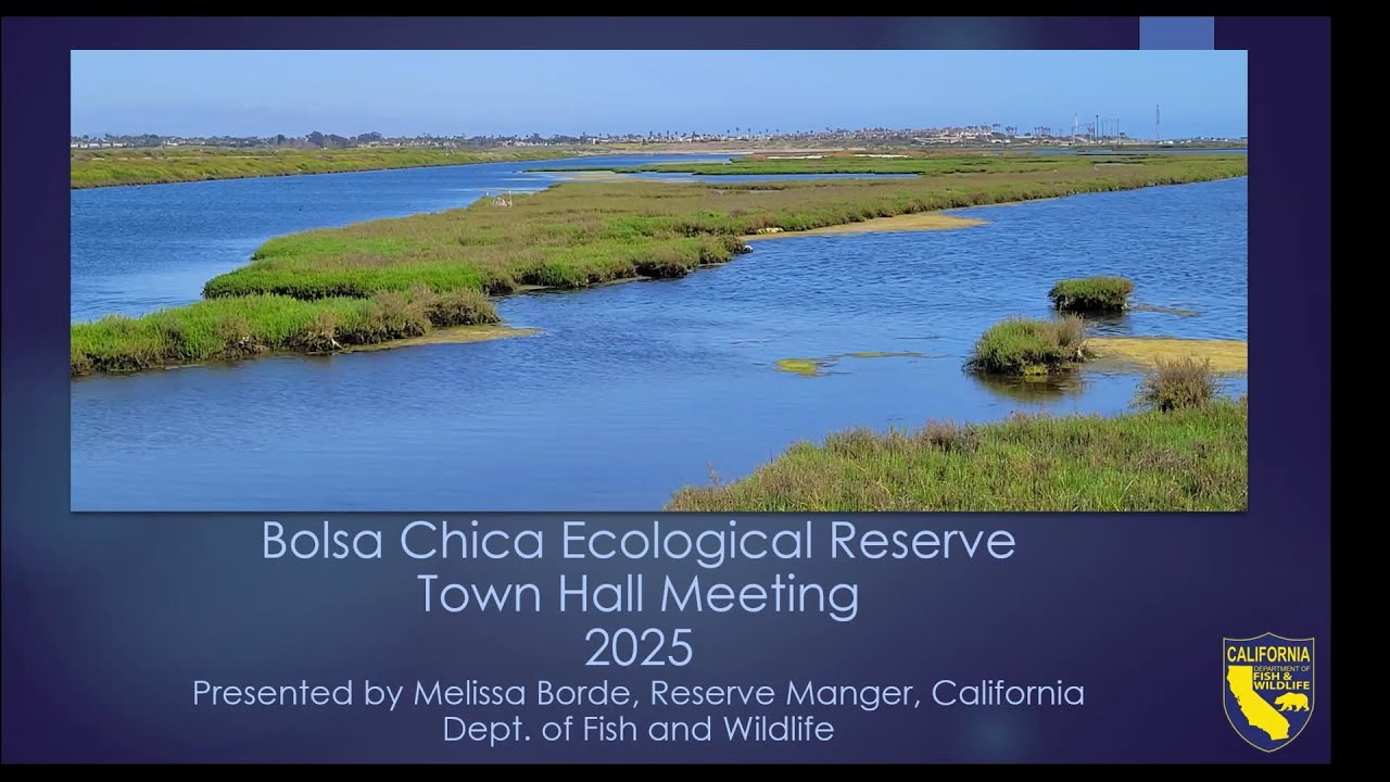 Virtual Town Hall with Melissa Borde Dec. 17th, 2025