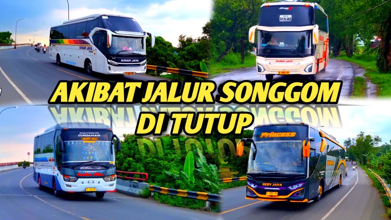 AKIBAT JALUR SONGGOM DI TUTUP 🚫