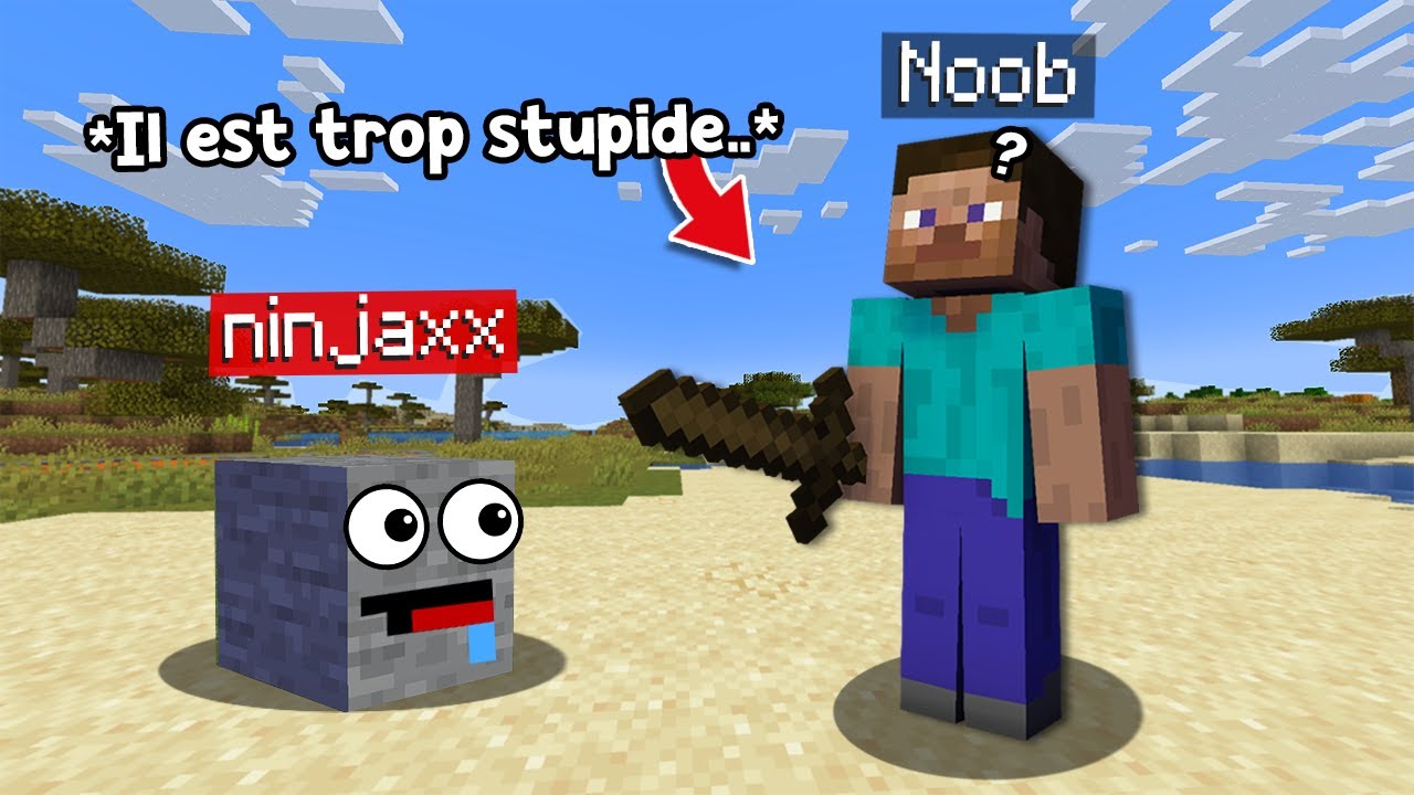 J'ai troll ce Noob en me D&eacute;guisant en Bloc sur Minecraft..