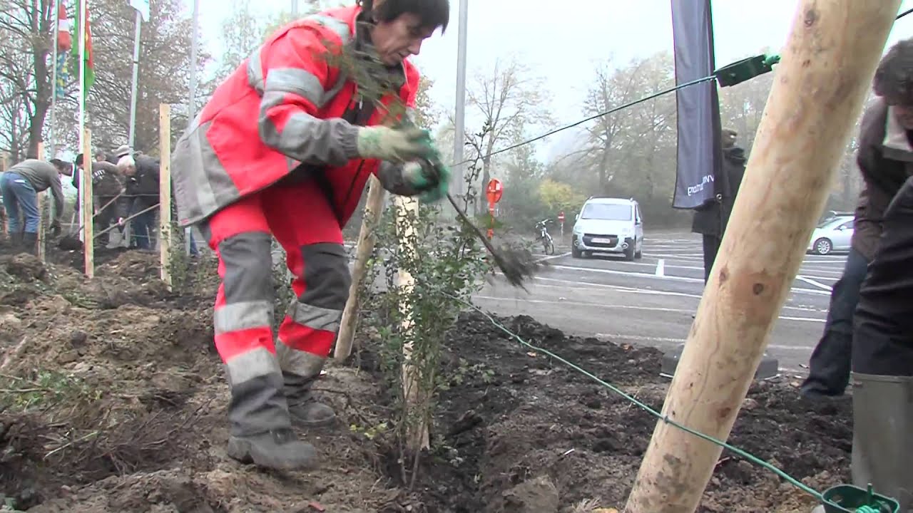 Opstart van de buurttuin te Zwevegem