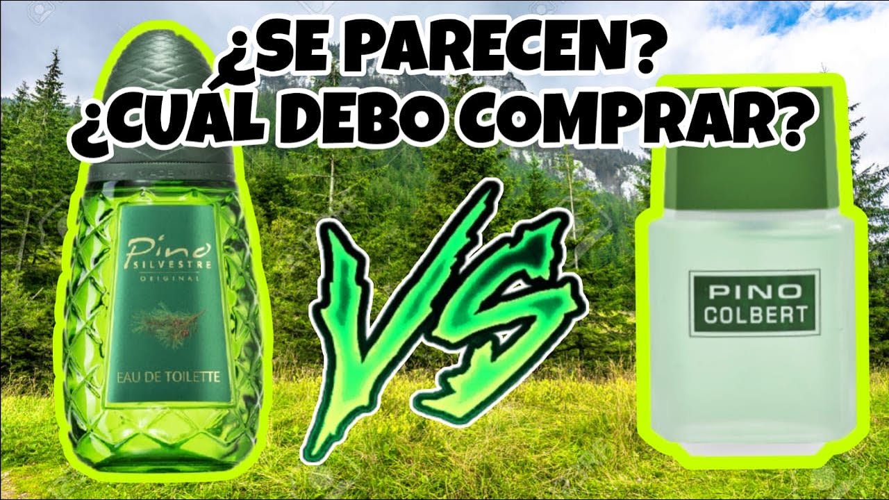 PINO SILVESTRE vs PINO COLBERT // Reseña y comparativa