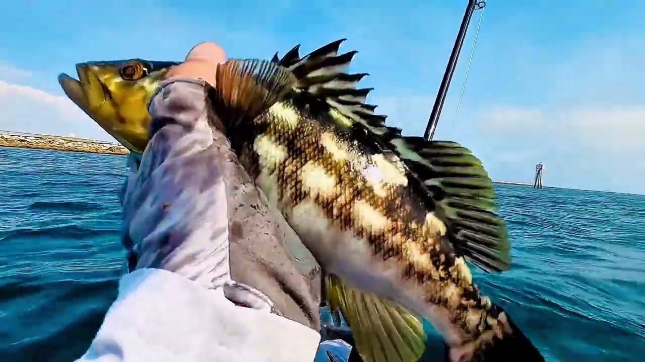 Kayak saltwater fishing 