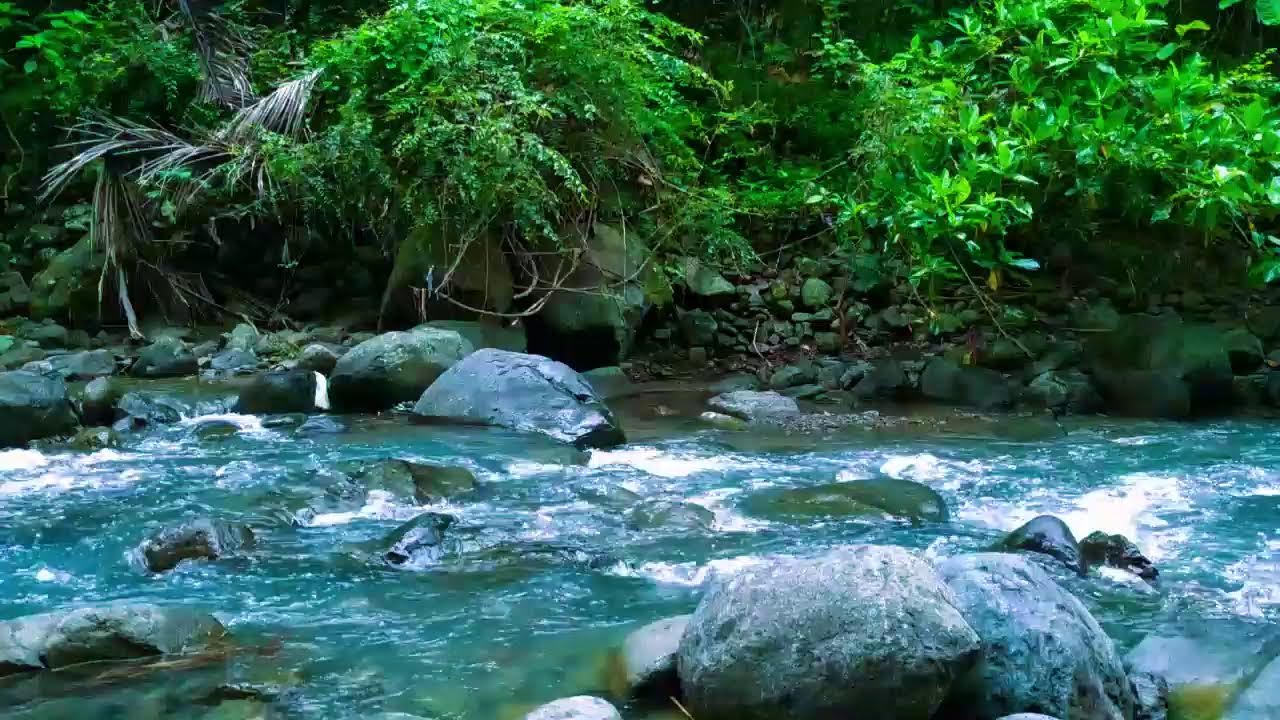 Calming Sound of Mountain River - Nature Sounds, Flowing Water, White Noise for Sleeping