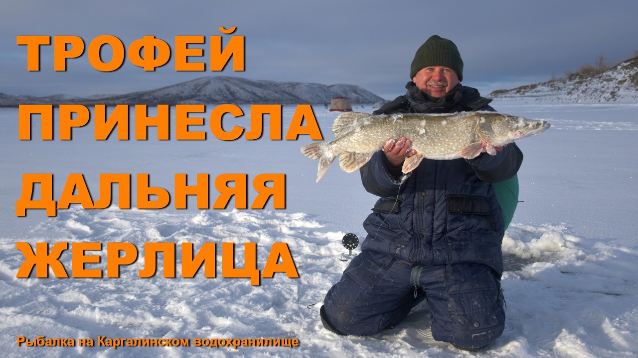 Трофей принесла самая дальняя жерлица. Рыбалка на Каргалинском водохранилище, Актюбинская область