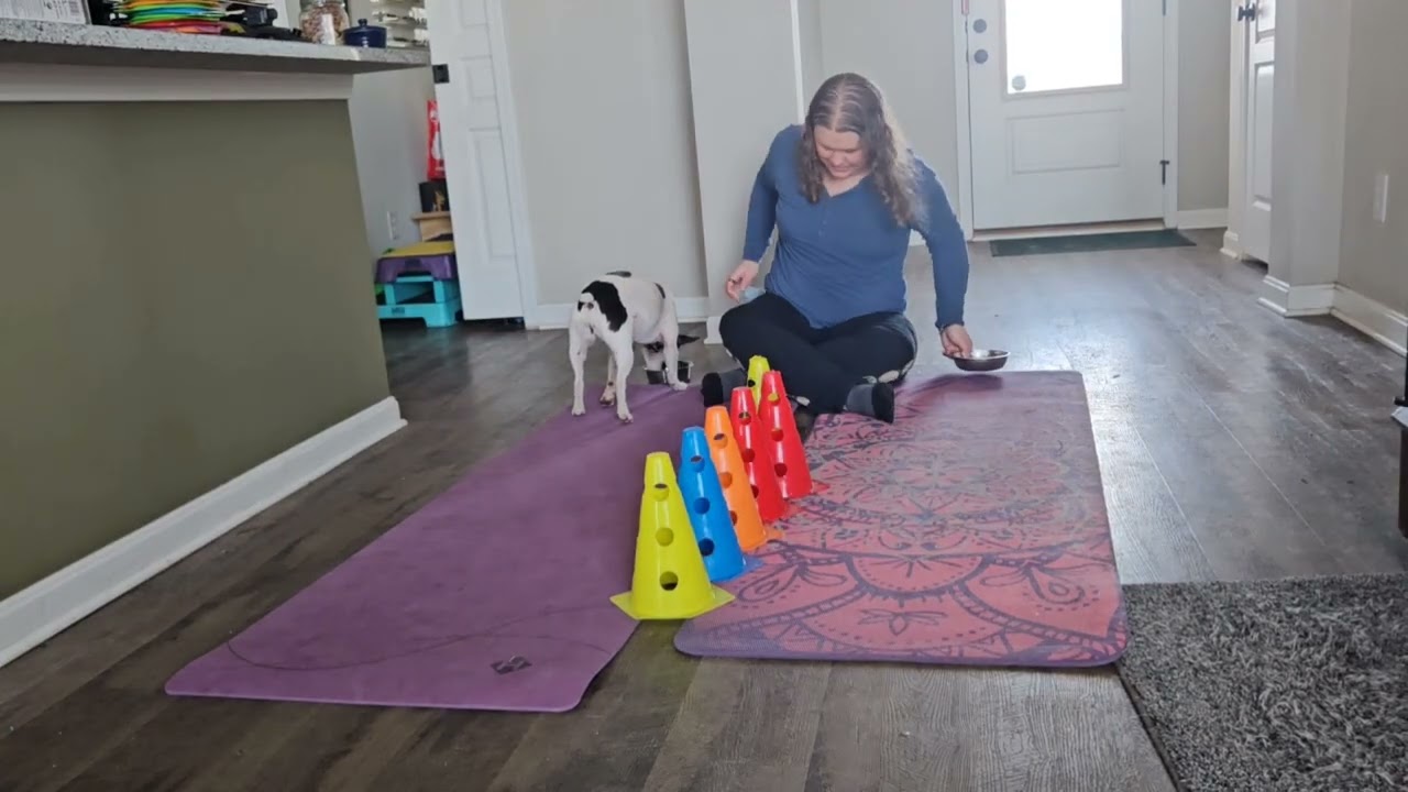 Cones work - position 2perfection class