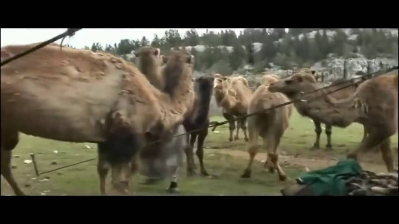 Sarıkeçili Yörükleri -Kuş Ali'nin Obası