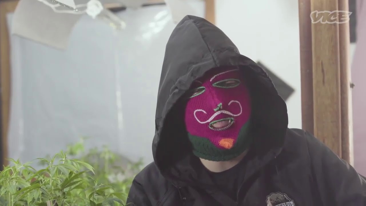 10 Perguntas Que Voc&ecirc; Sempre Quis Fazer a um Grower