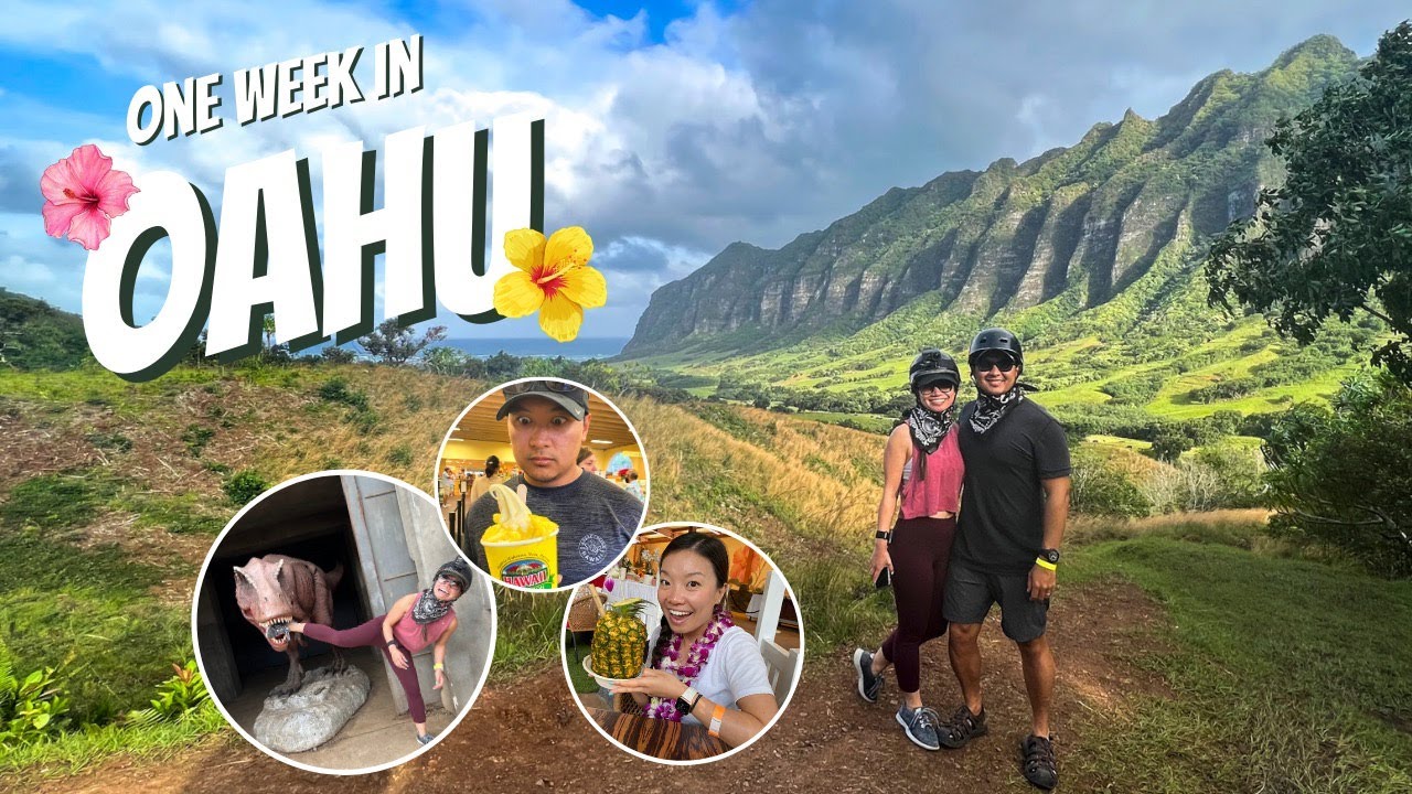 OAHU, HAWAII | Kualoa Ranch, North Shore, Scuba, Poke, Shaved Ice, & MORE // Honeymoon Vlog Pt 3