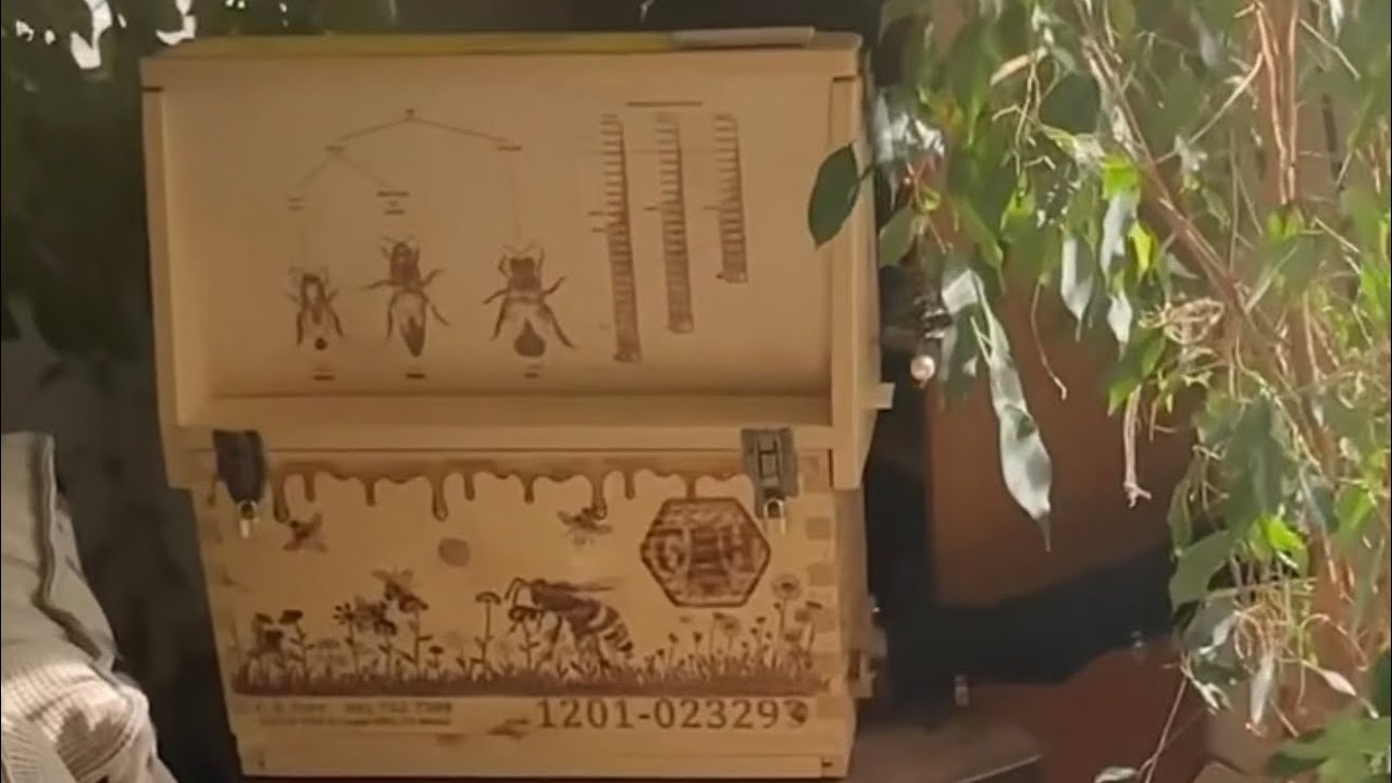 The Nerd’s Observation Hive 