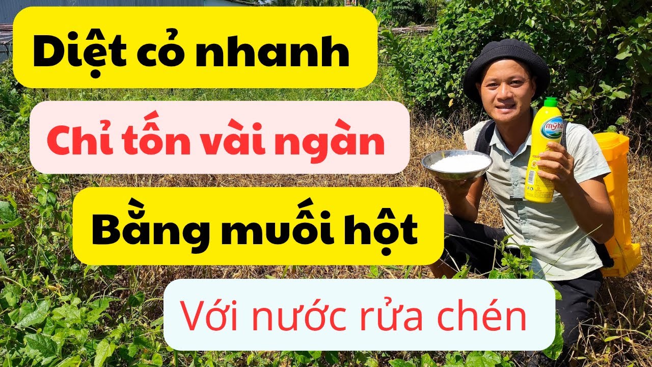 Diệt cỏ bằng muối và nước rửa chén chỉ tốn vài ngàn