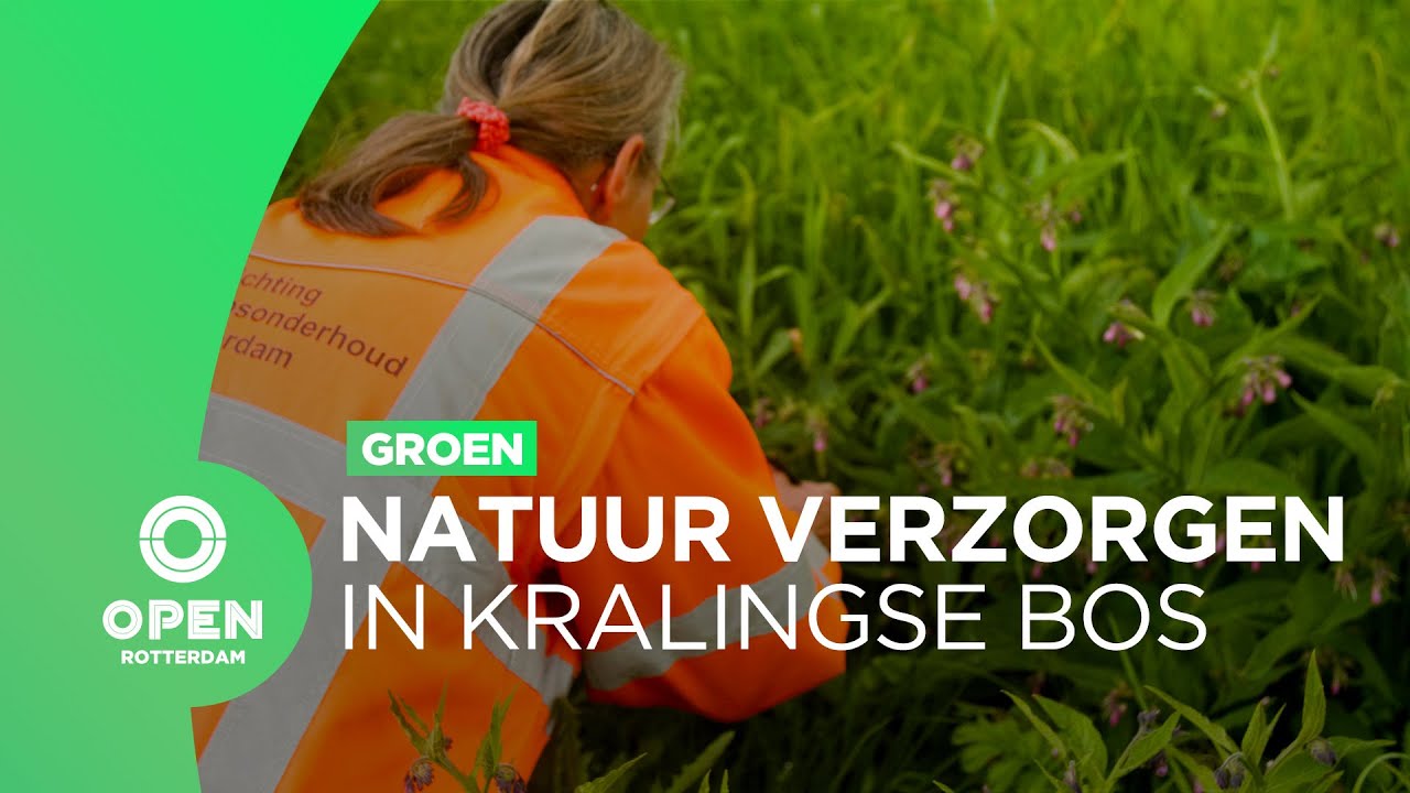Stichting Landschapsonderhoud Rotterdam pleit voor beleid gericht op biodiversiteit | Groen