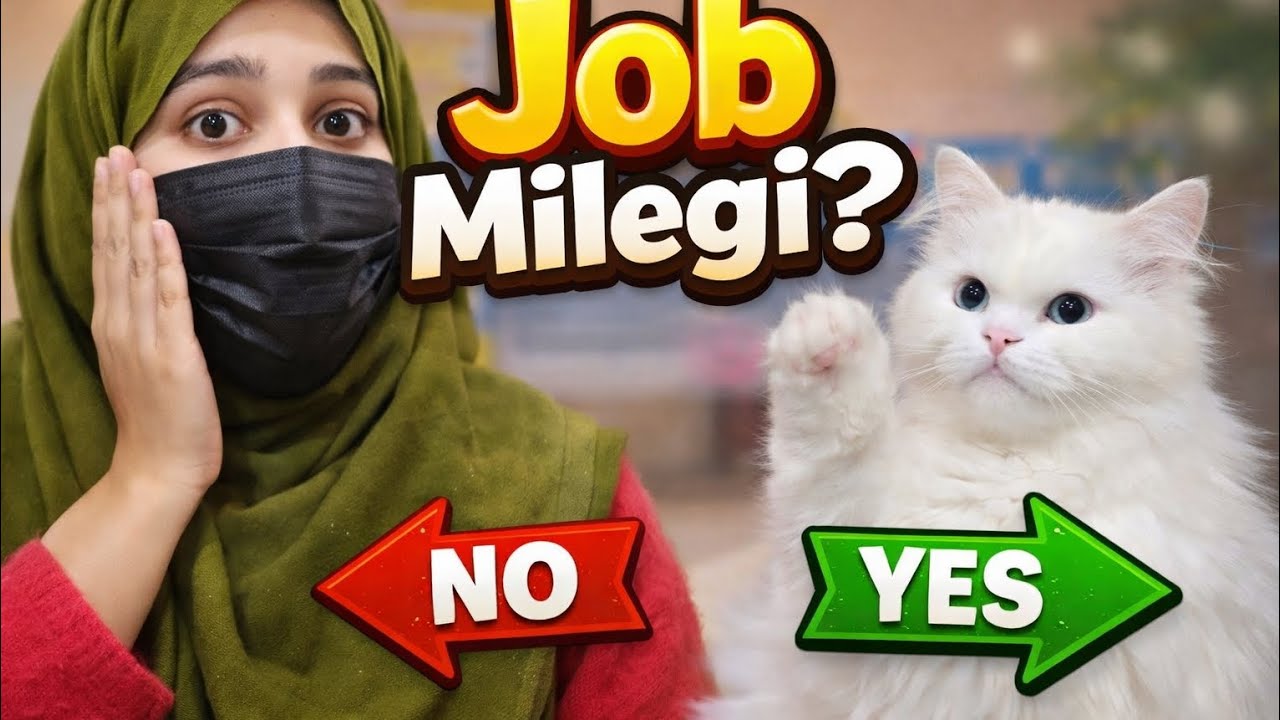angelina se advice lena pad gya bhari#vlog #youtube #shorts#cat #minivlog#love 