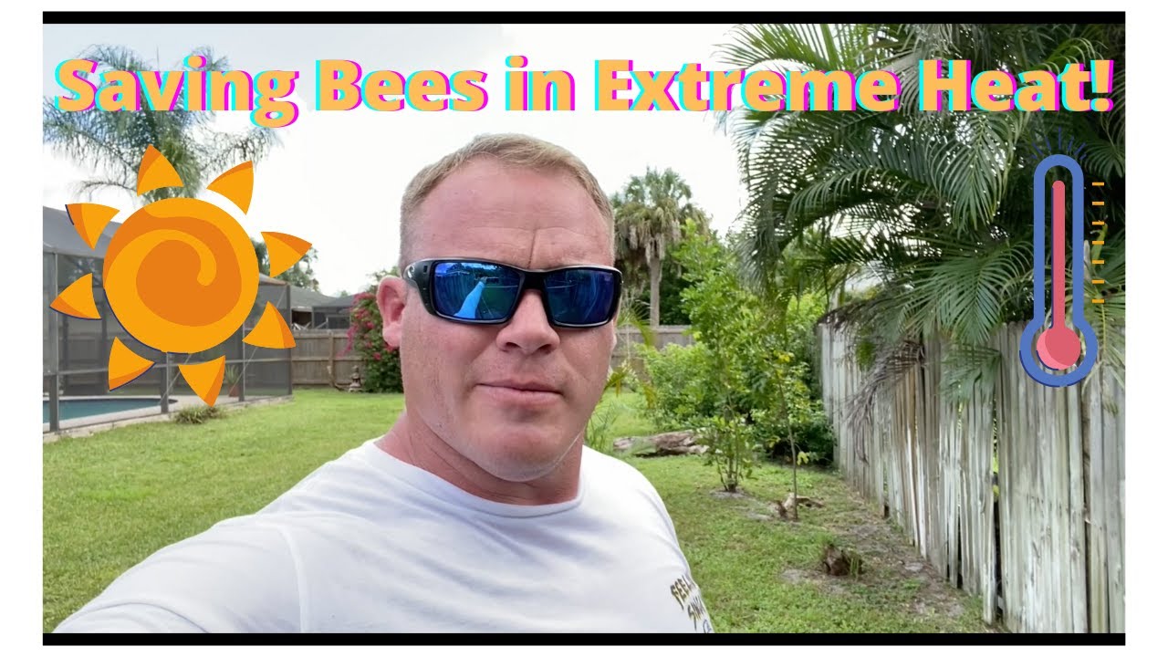 Removing Bees From a Flower Pot in EXTREME HEAT!