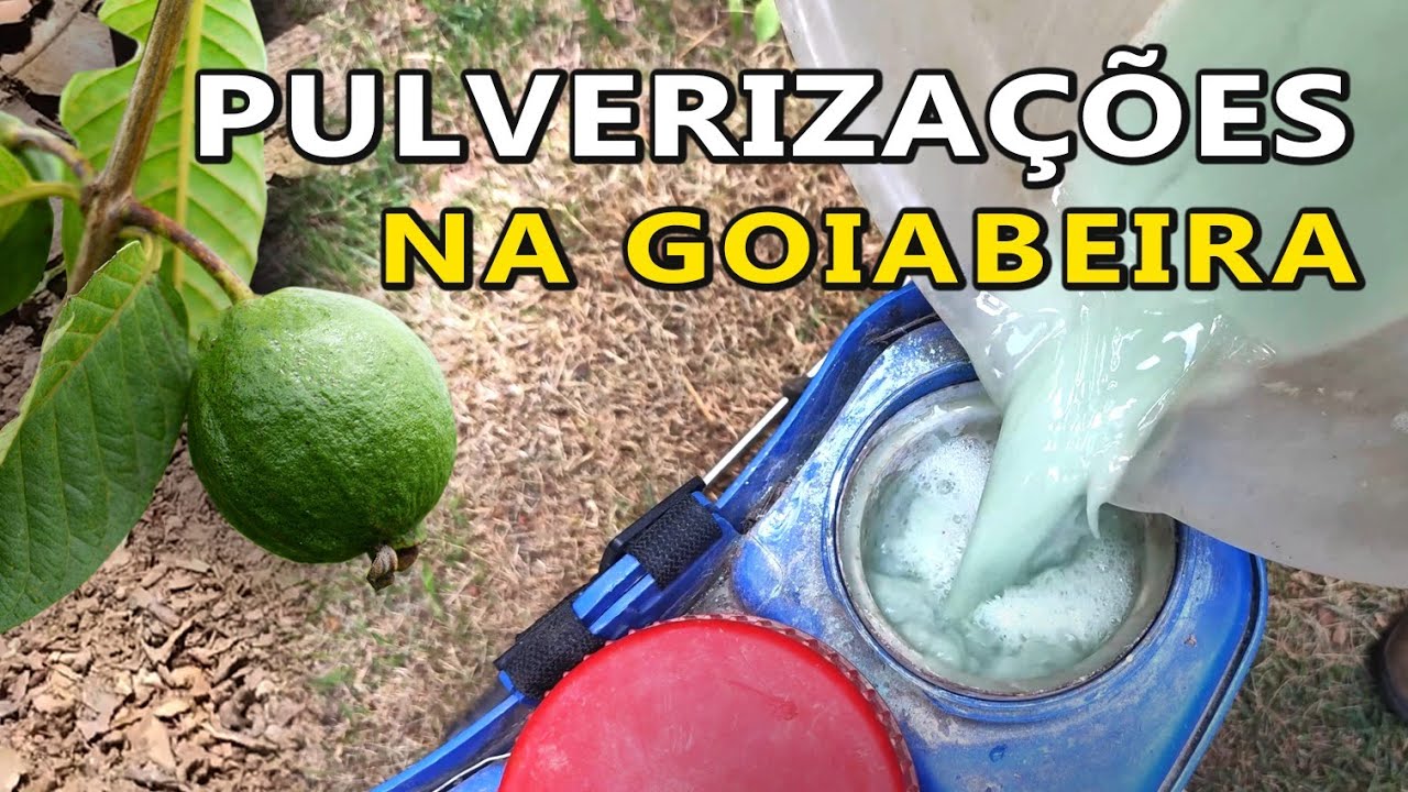 Pulverizações para Goiabeira contra Insetos, Ácaros e Fungos