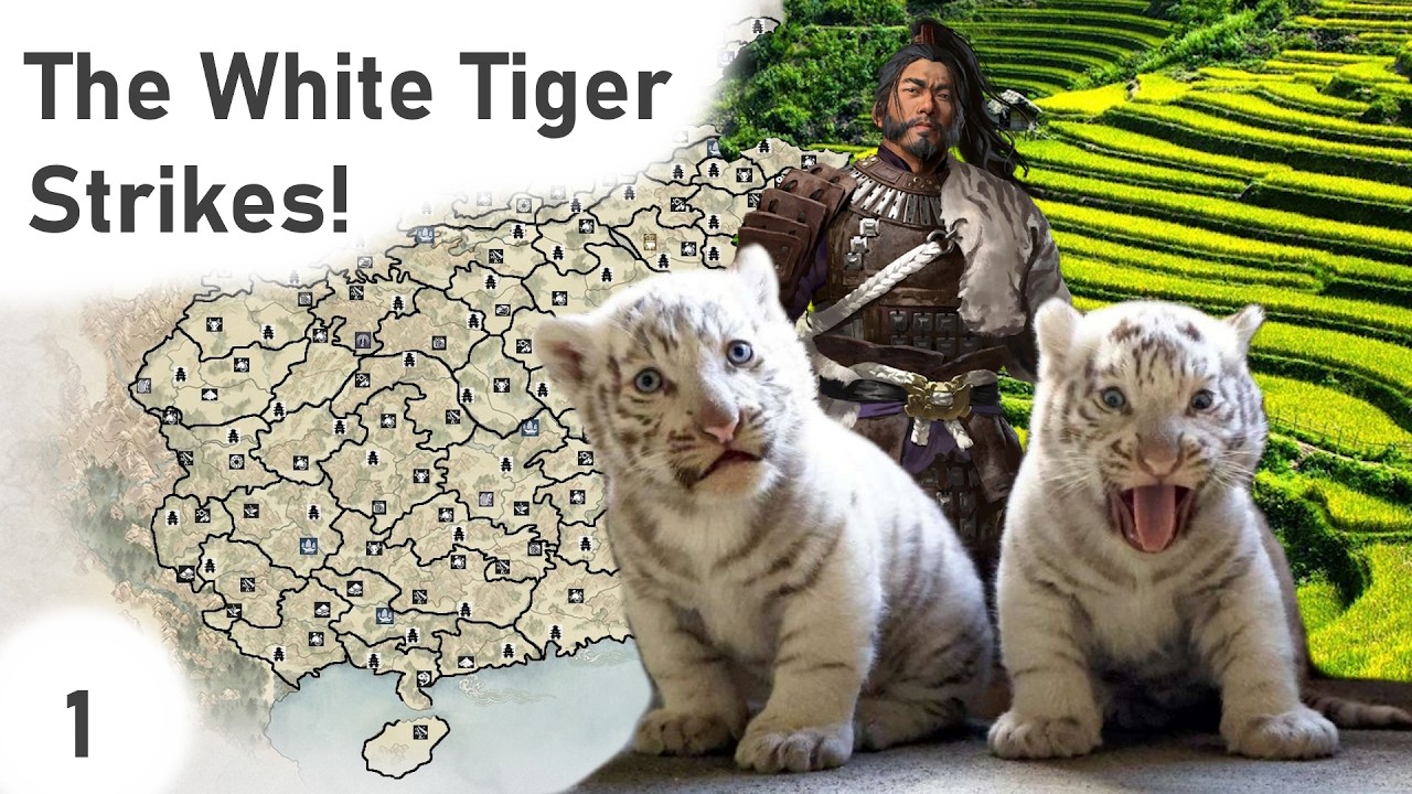 The White Tiger Strikes! [Total War 3K] | Yan Bai Hu Episode 1