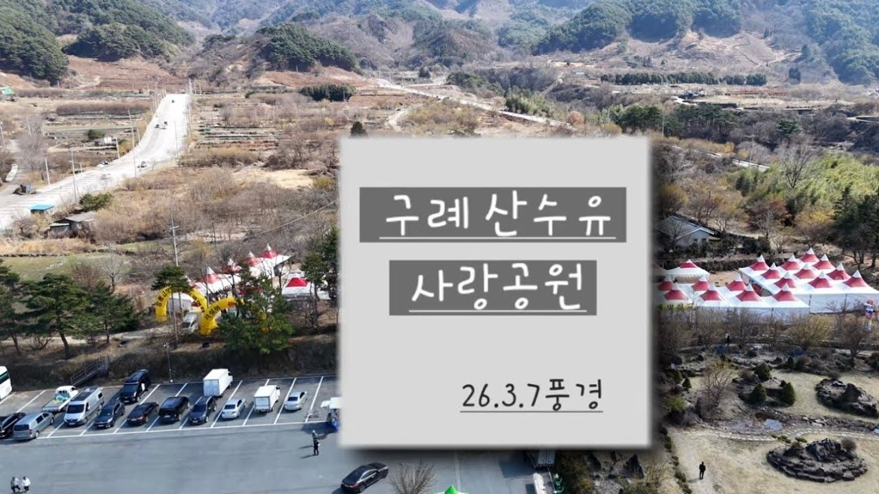 26년 산수유마을 사랑공원 풍경 3.8일 (축제1주일전)