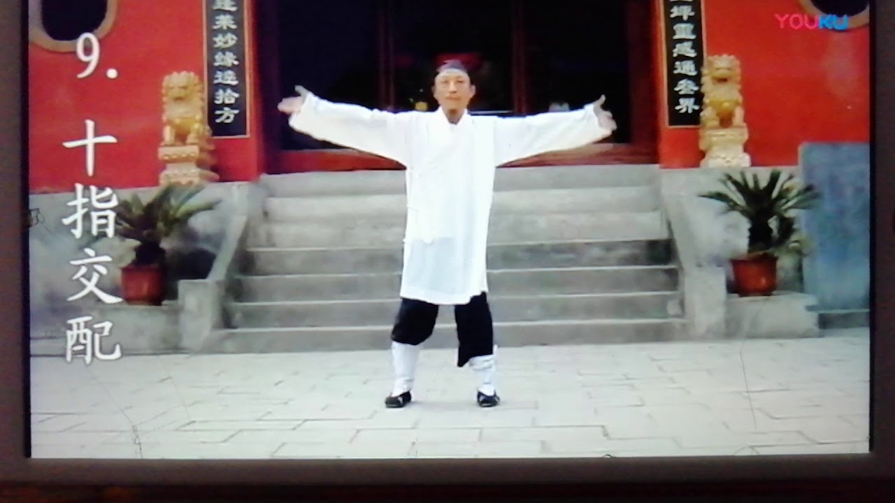 Wudang chunyang Yang Sheng Gong. 武当纯阳养生功