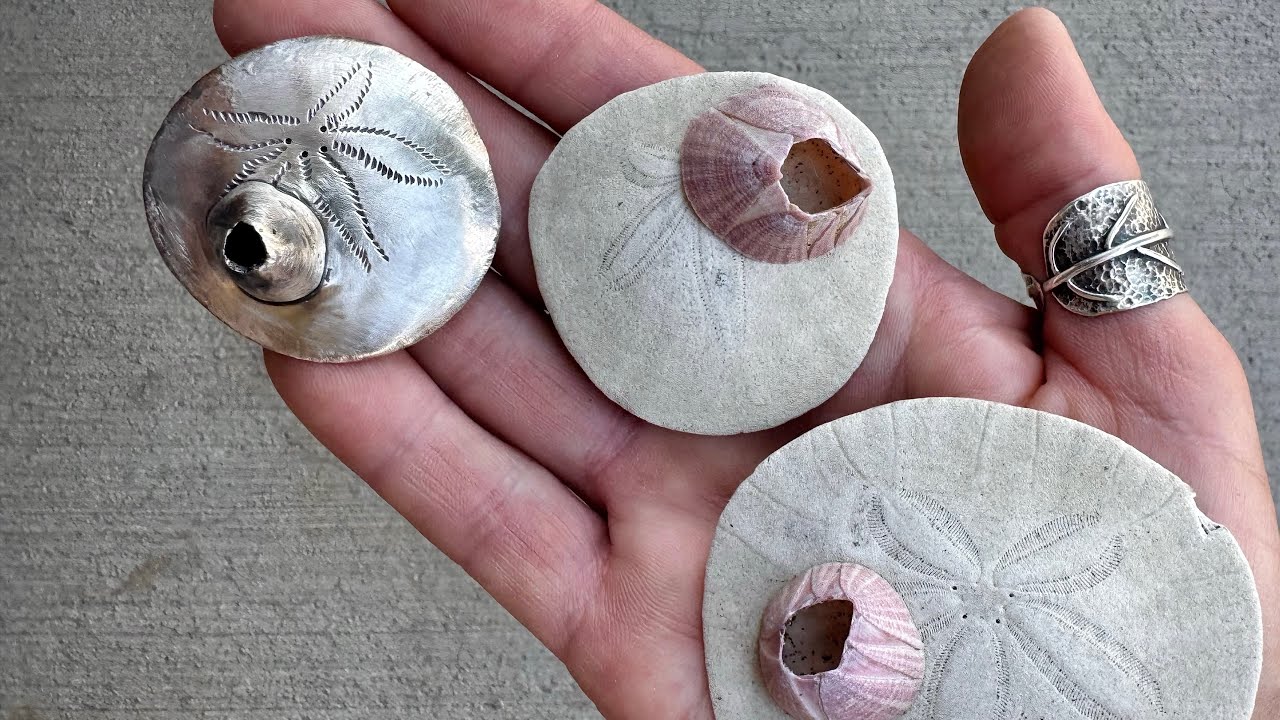 How to fabricate a hollow form sand dollar with sterling silver