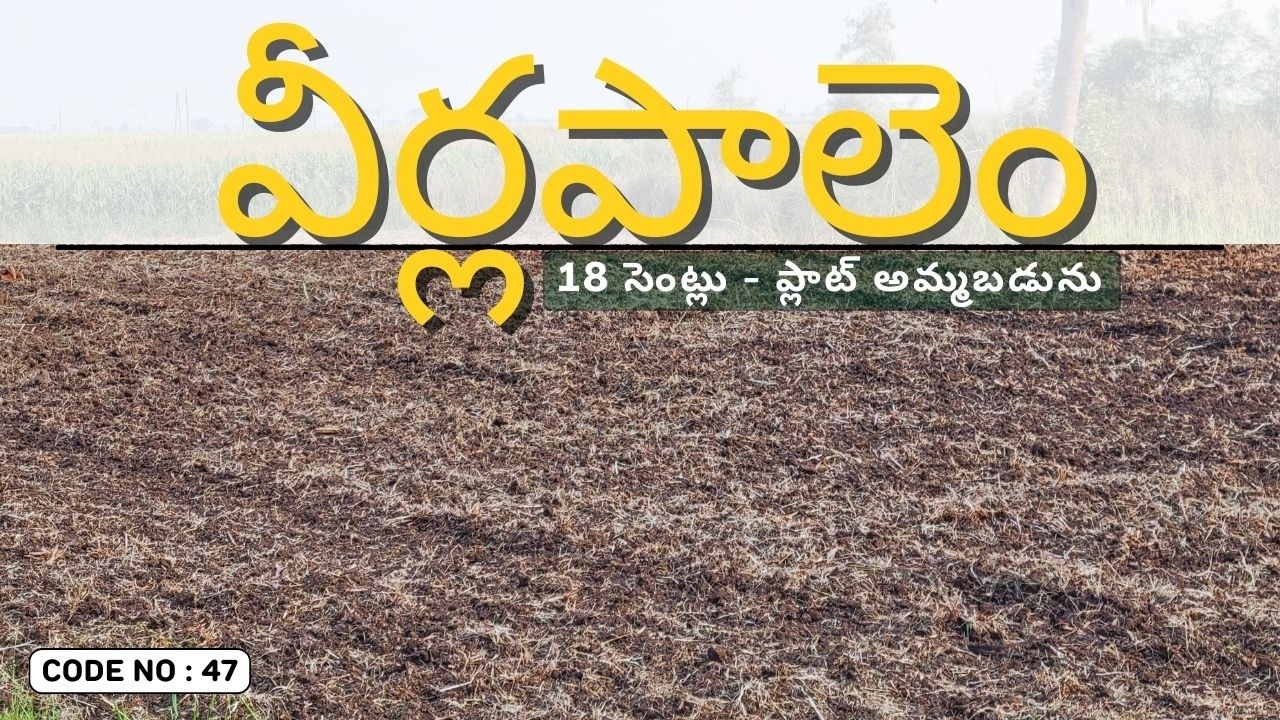 Plot For Sale In వీర్లపాలెం | Land For Sale | Veerlapalem Plot for sale |  Veerlapalem Land For Sale