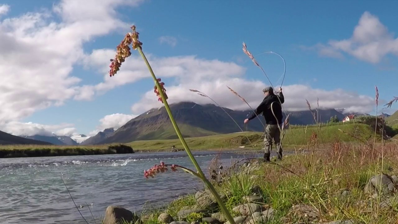 Fly fishing Arctic Char in Iceland