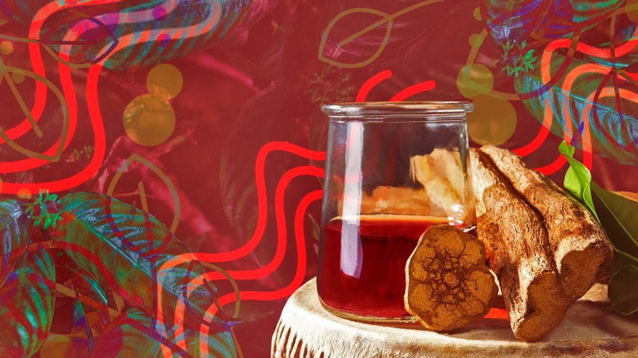 Ayahuasca: A Synthesis of Science and Shamanism