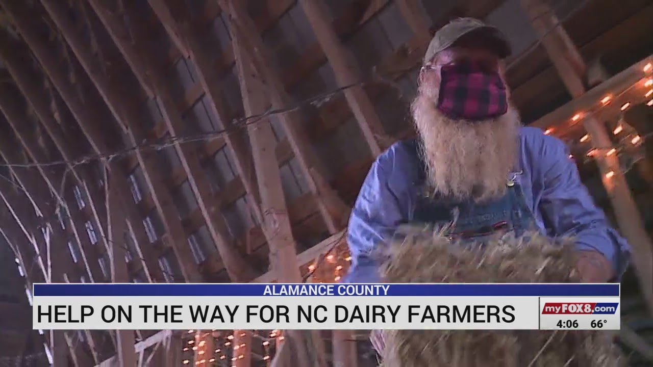 Help on the way for NC dairy farmers
