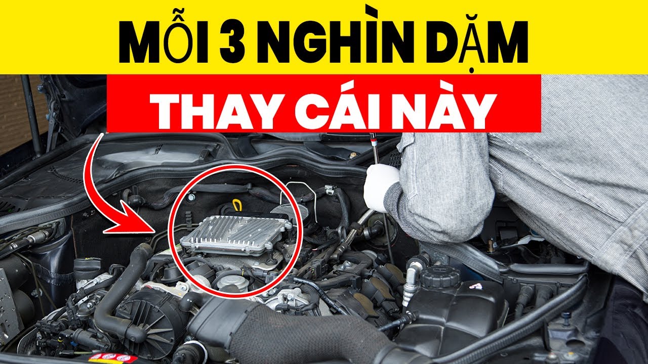 Bí Mật Hàn Quốc Giúp Xe Của Tôi Vượt 1.000.000 Kilômét Và Vẫn Chạy Tốt