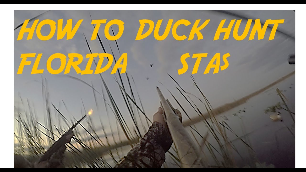 How to duck hunt in South Florida and STA’s (Swamp N Stomp ep. #36)