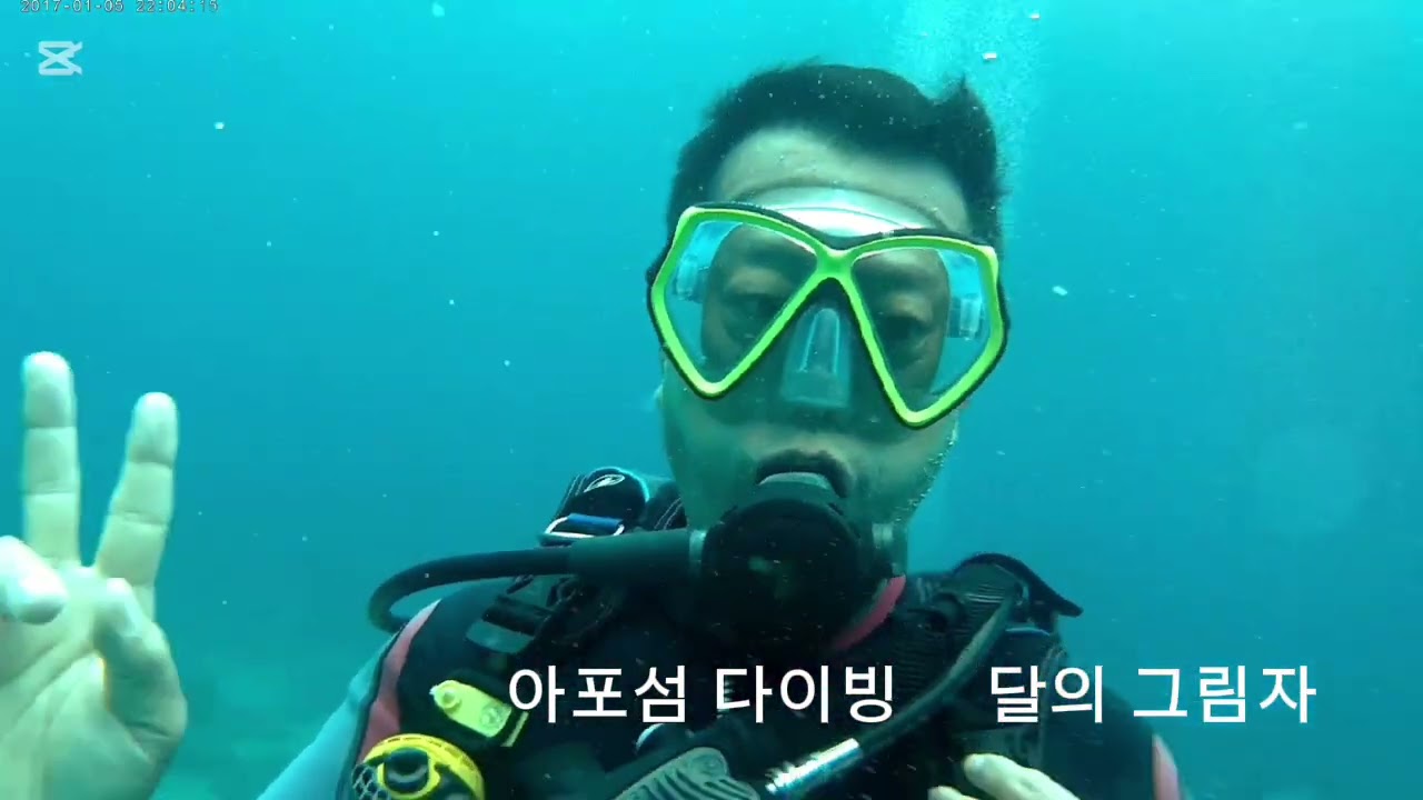 송진영의 달의 그림자을 커버하였습니다