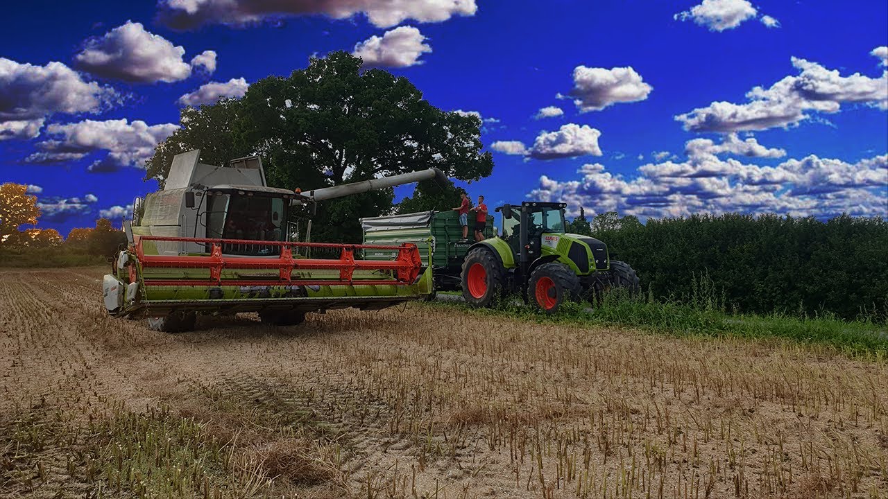 Żniwa 2020 | Claas Tucano 570 & Axion 840 | Rzepak 2020 | Poland
