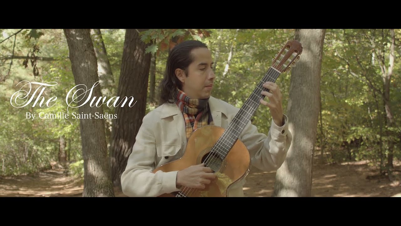 The Swan (tremolo guitar arrangement)