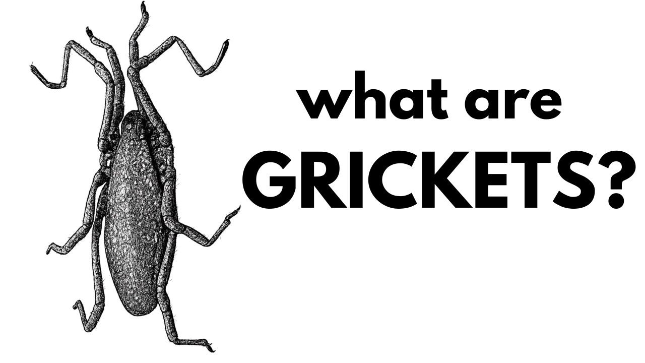 What Are Grickets? (April fools joke)
