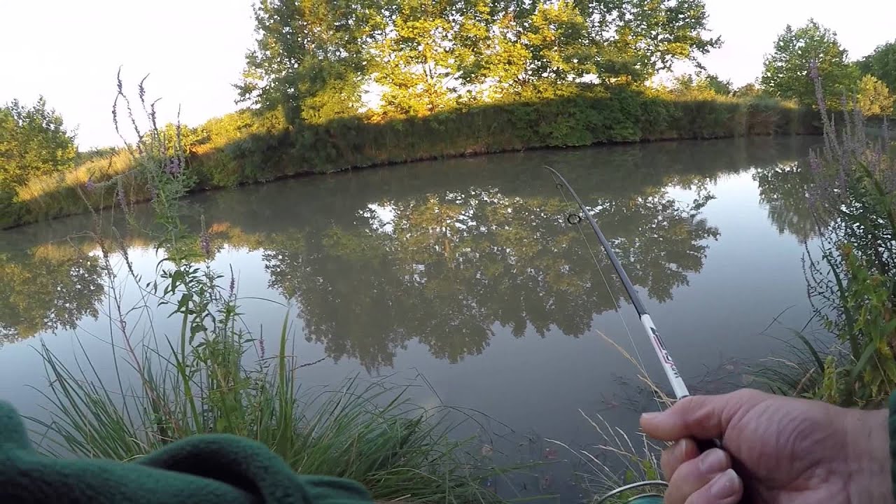 Pêche canal du midi silure aux leurres - GOPRO HD
