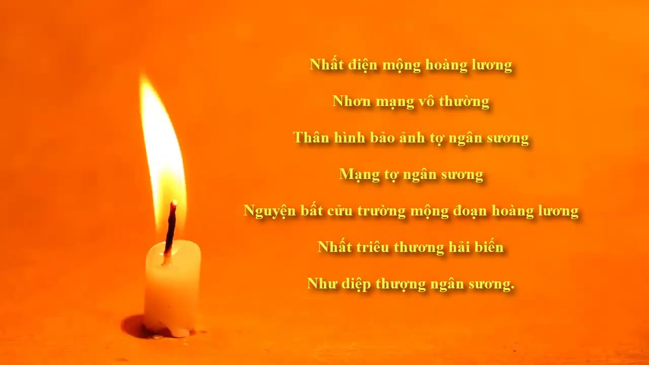 TÁN RƠI - NHẤT ĐIỆN MỘNG HOÀNG LƯƠNG - HT.  TỪ PHƯƠNG