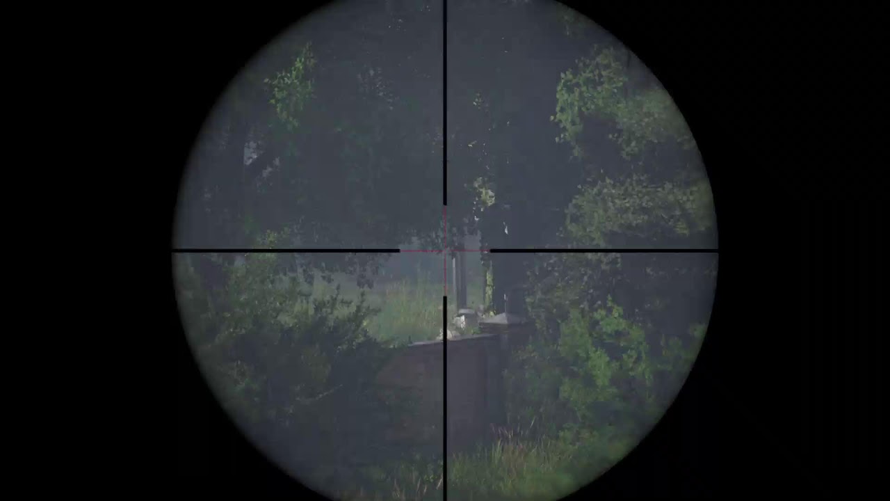 LIVE - Solo DayZ 1pp