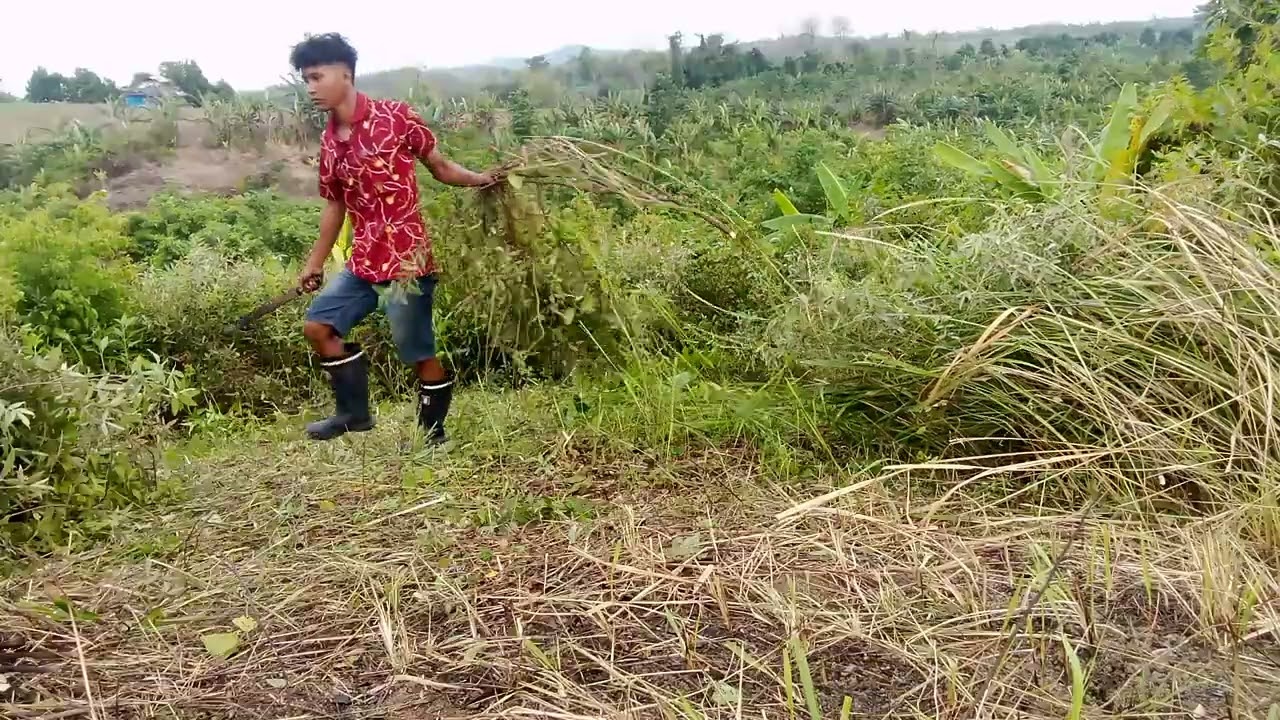 Clearing / Machete Work / West Field ASMR – Day 8 (Part 2)