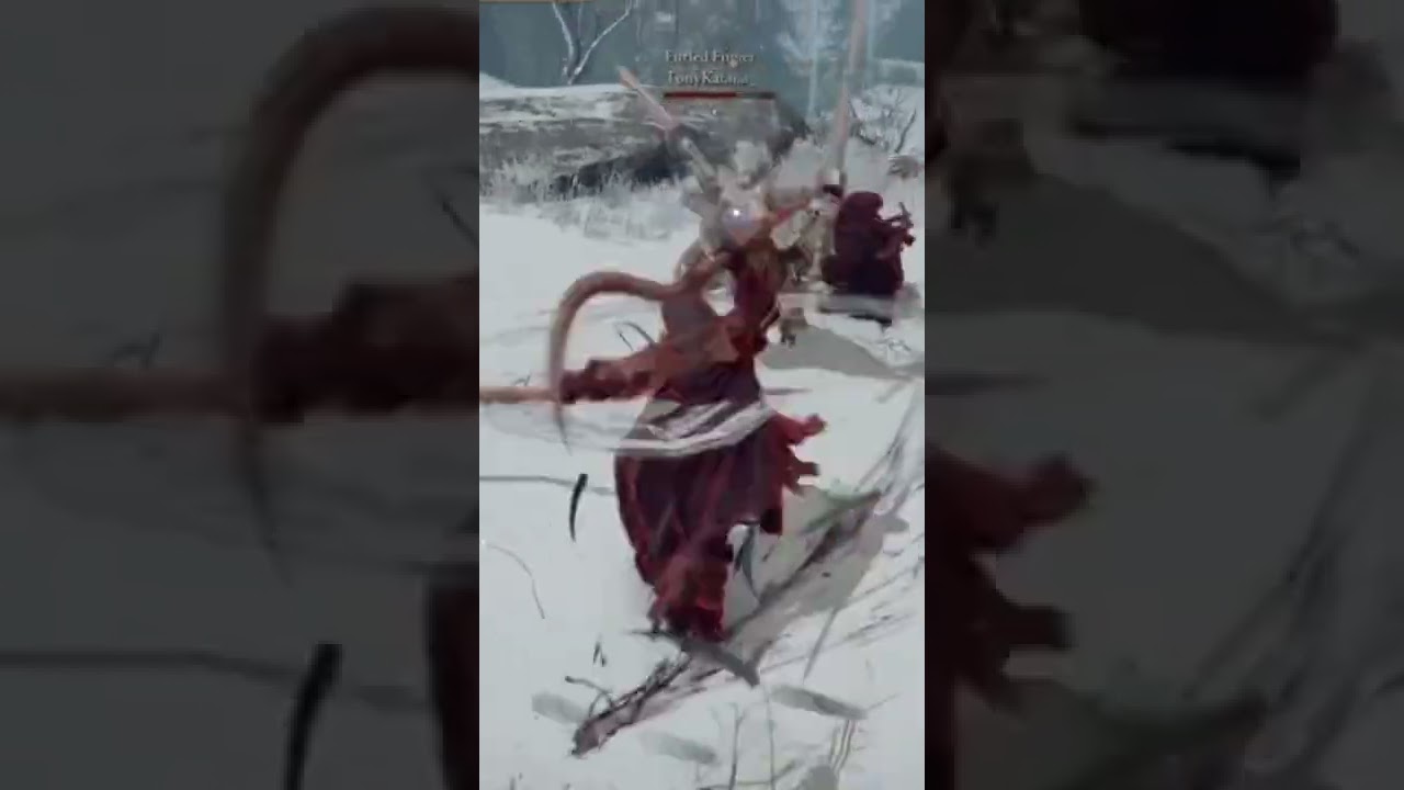 great sword vs double blade Elden Ring PVP MEME!