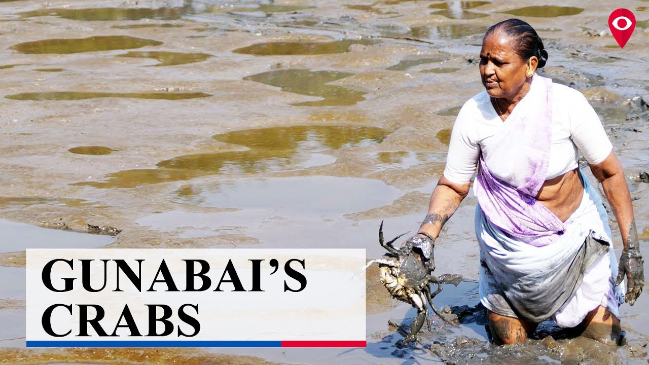 After winning over Mumbai, Gunabai's crabs reach 'overseas' | Mumbai Live